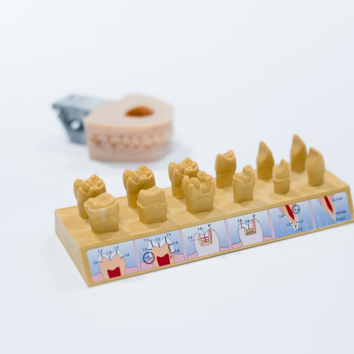 academie_voor_reconstructieve_tandheelkunde_5